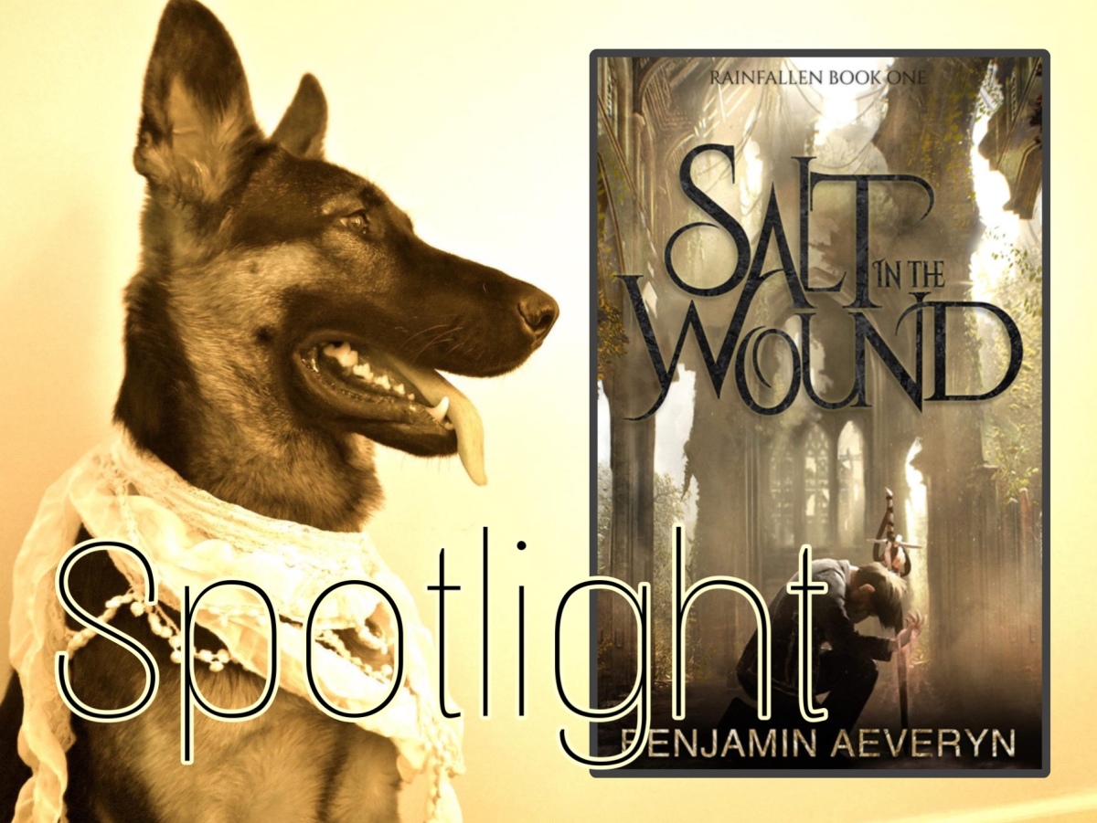 Spotlight: Salt in the Wound by Benjamin Aeveryn